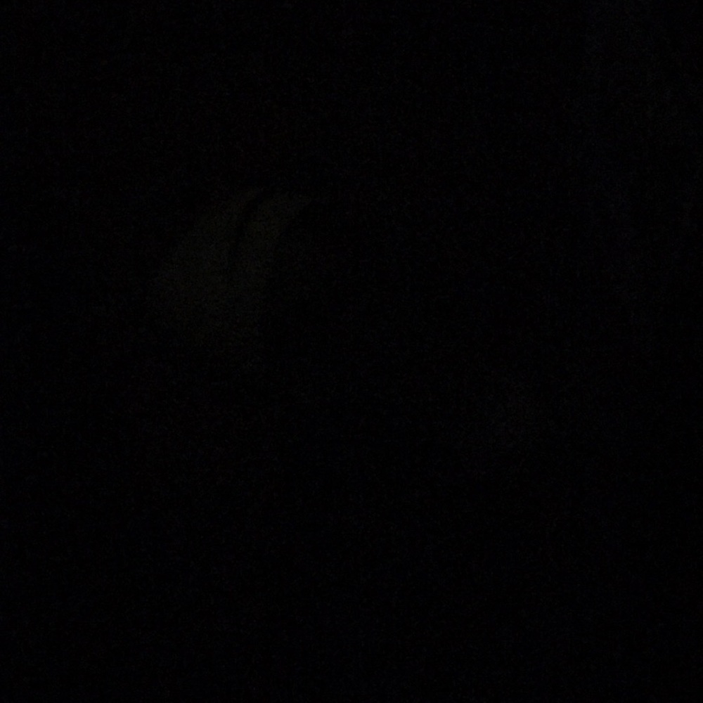 Meet your Posher, Devon